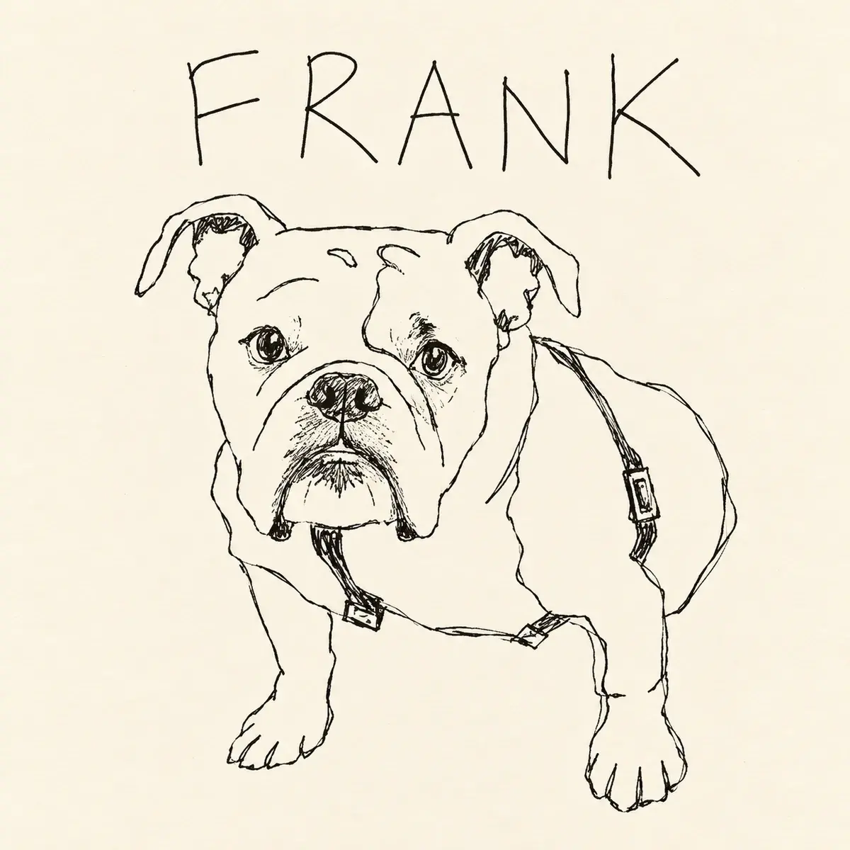Strektegning av bulldogen Frank
